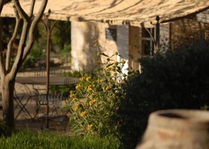 Mas Bella Cortis Bed & Breakfast La Garde Adhemar Bagian luar foto